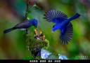 2022-07-finals-b07_700