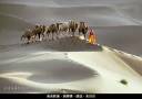 2022-07-finals-b16_700