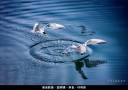 2022-07-finals-b02_700