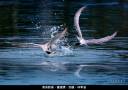 2022-07-finals-b09_700