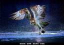 2022-07-finals-b03_700